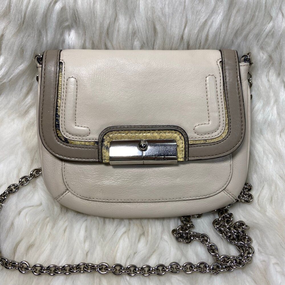 Coach Kristin Spector Silver G Python Crossbody - image 1